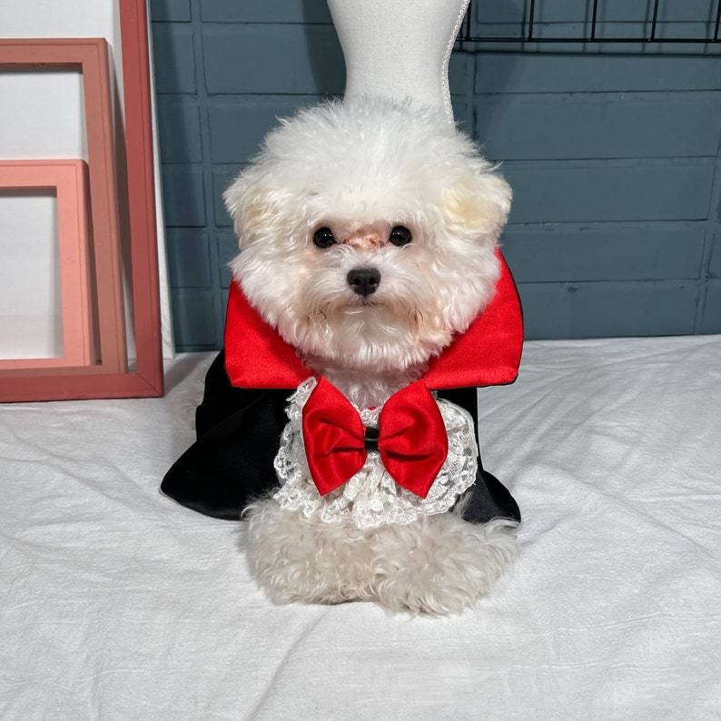 Pet Halloween Vampire Cloak Windbreaker